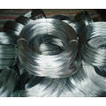 Galvanized Steel Wire, Spring Steel Wire